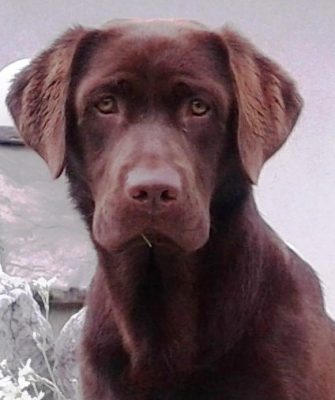 Gesundheitsuntersuchung