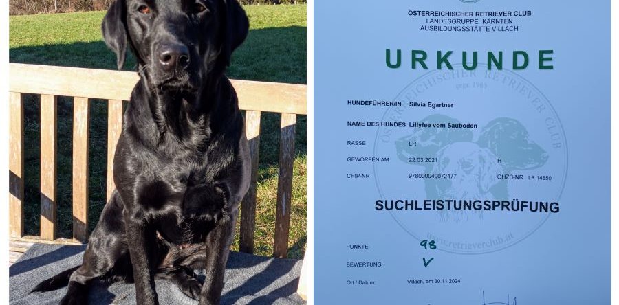 SLP (Suchleistungsprüfung) mit vorzüglich bestanden – Lillyfee vom Sauboden (mein Herzilein)