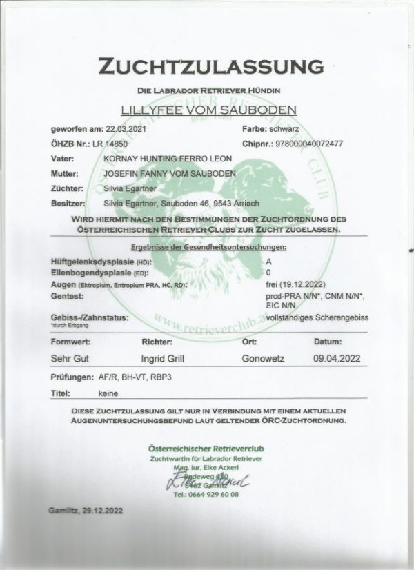 Lillyfee vom Sauboden hat die Zuchtzulassung nach Richtlinien der FCI/ÖKV/ÖRC
